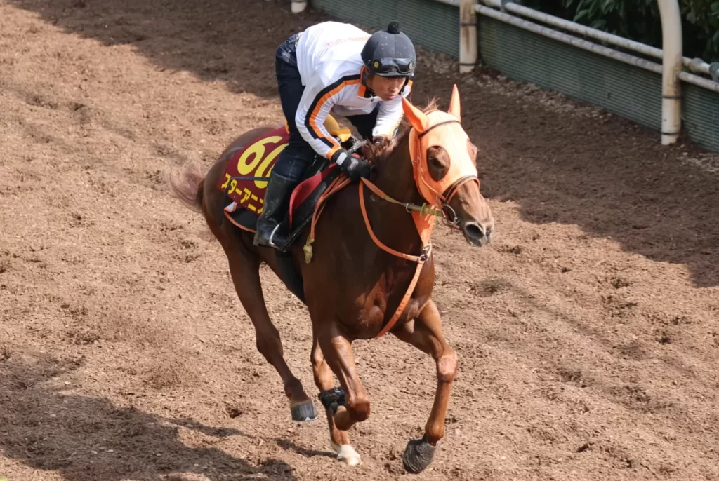 Yushun Himba