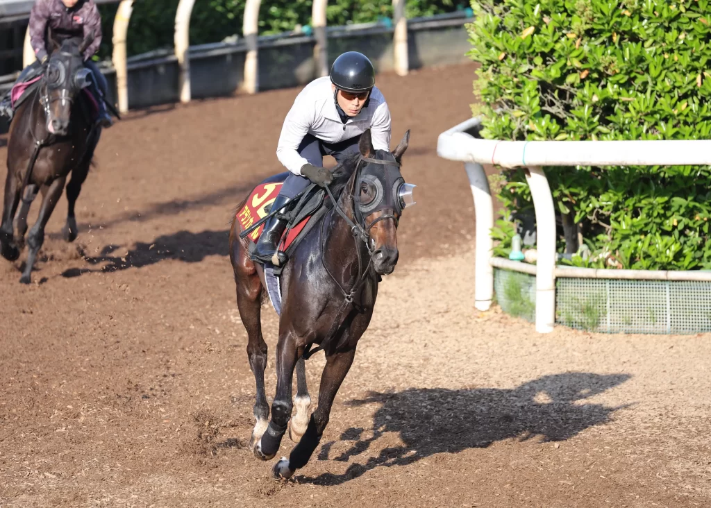 Yushun Himba