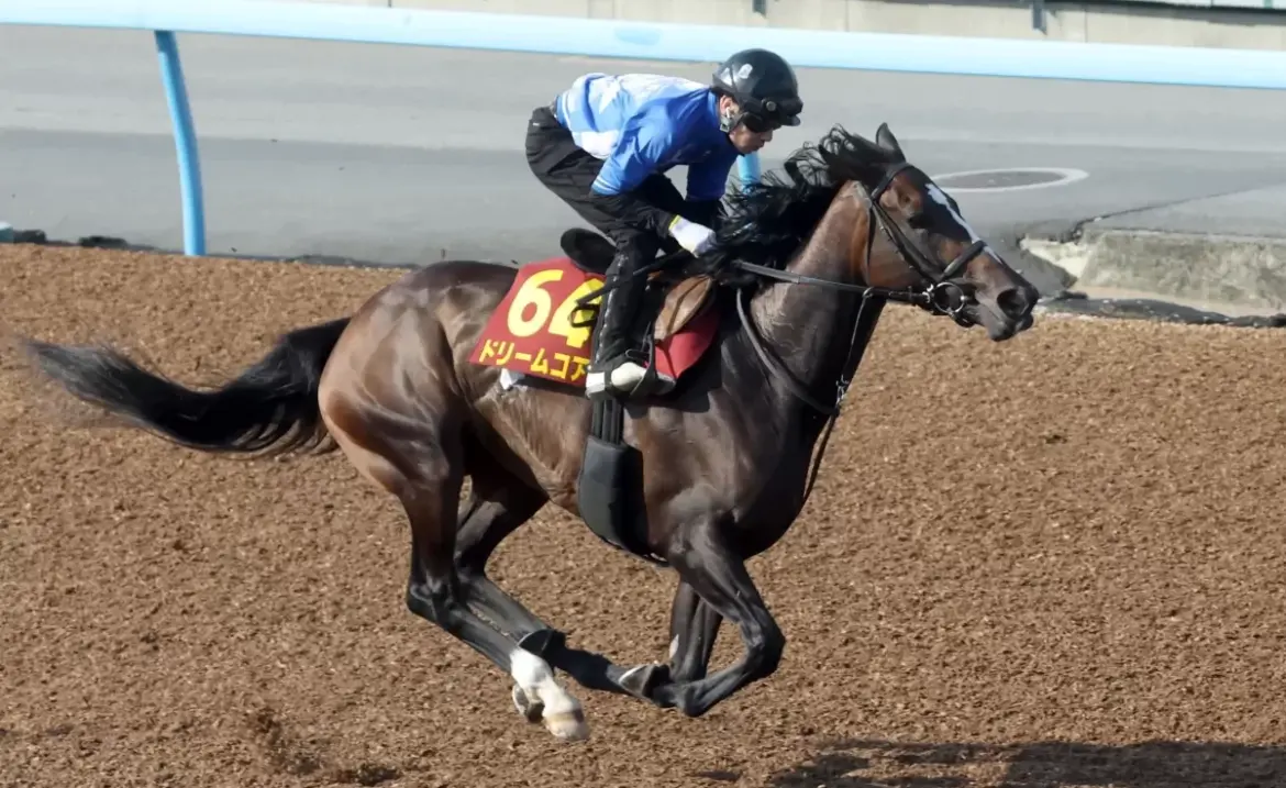 Yushun Himba Preview: The 87th Running of the 2,400-Meter Race Yushun Himba
