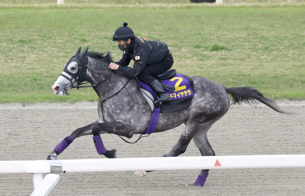 Tenno Sho