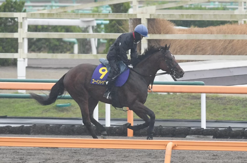 Tokyo Yushun