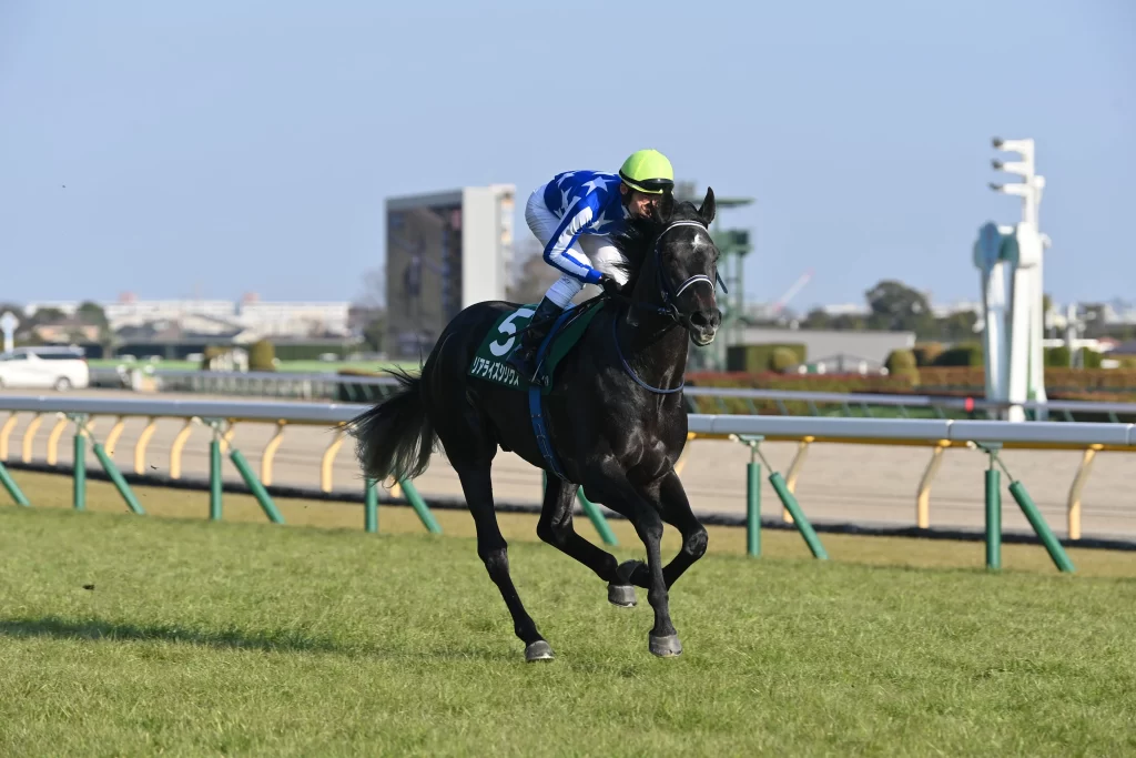Tokyo Yushun