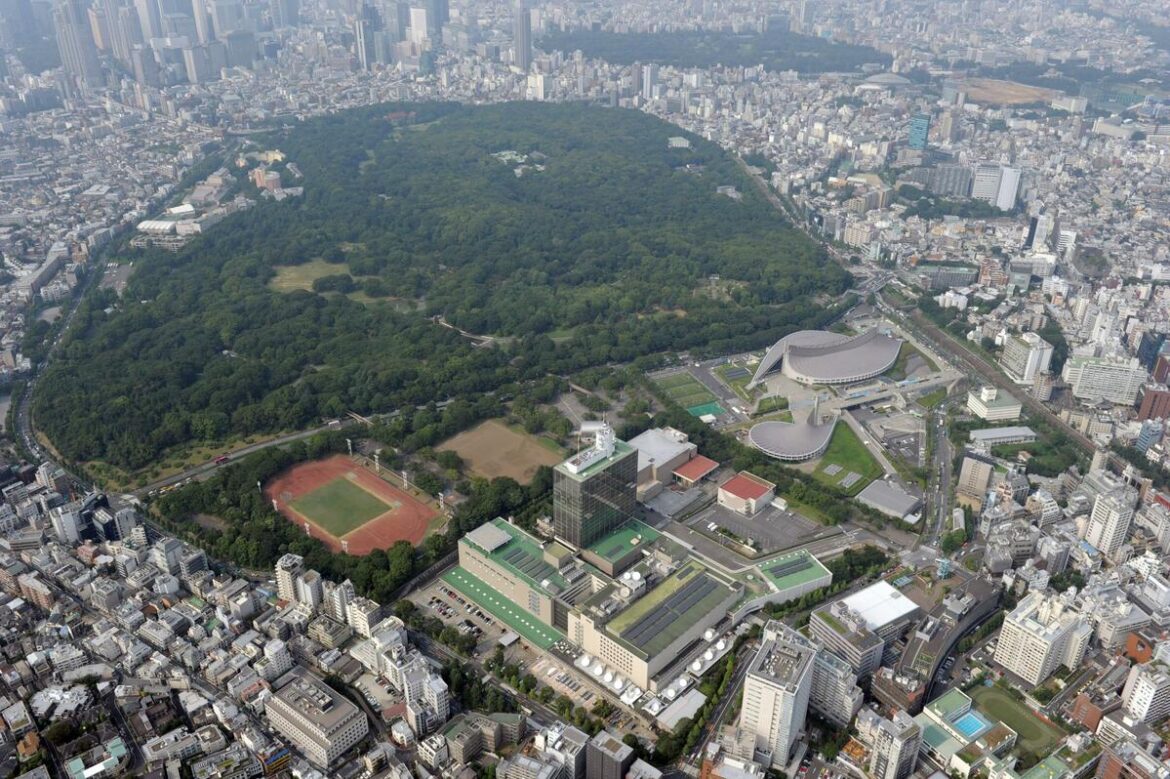 Olympics: Tokyo, Shanghai picked as qualifier venues for 2028 L.A. Games