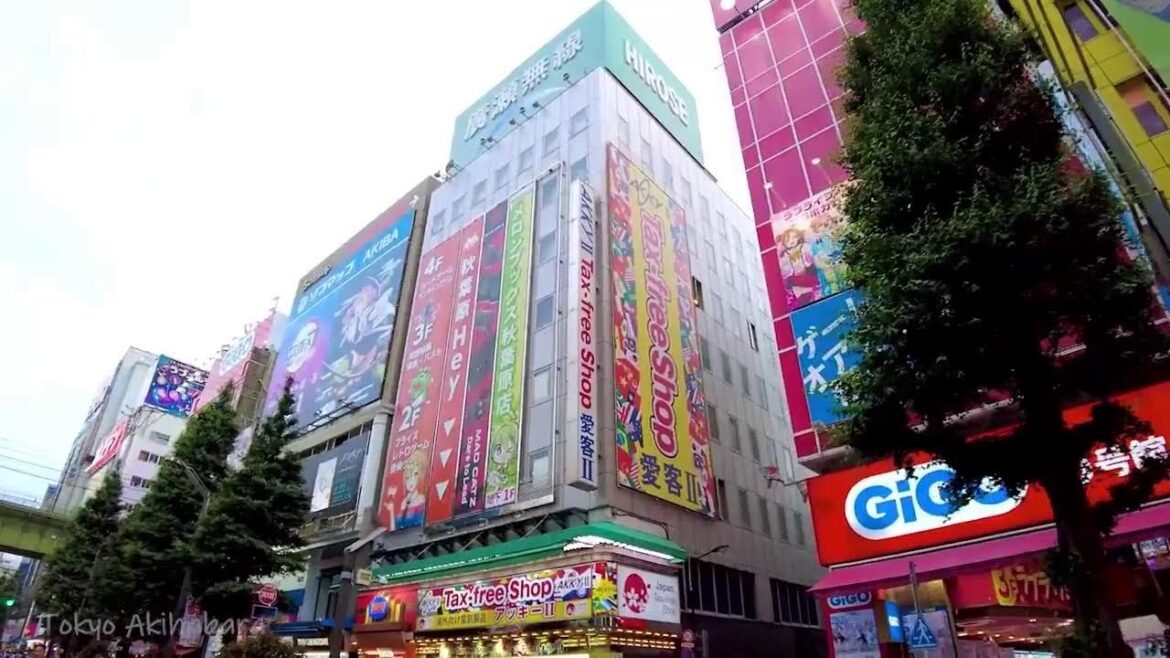 🔴Tokyo Streets 24/7🐶Shinjuku, Shibuya, Ikebukuro, etc.💖