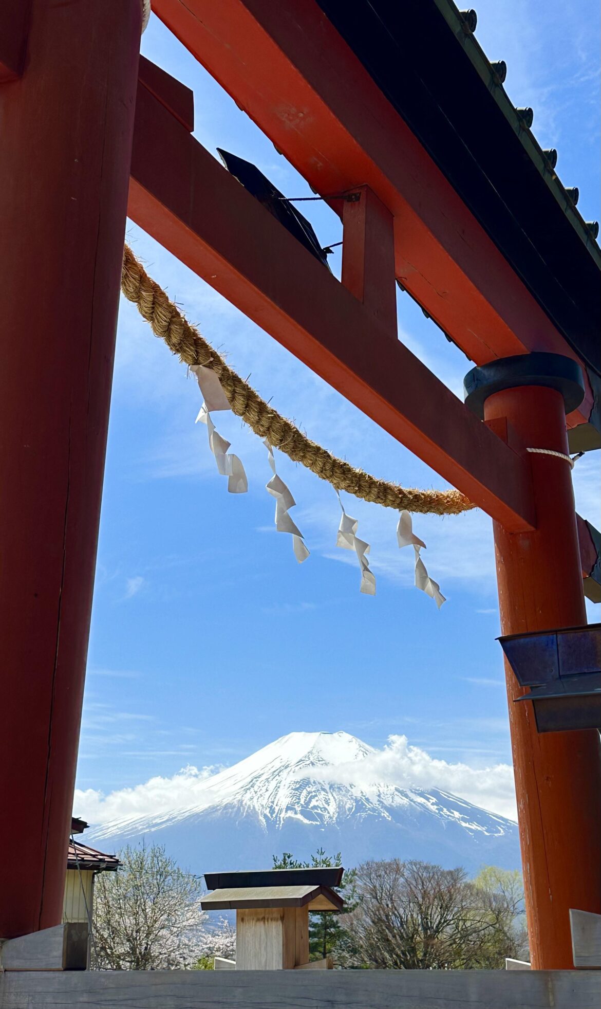 Shrine Views