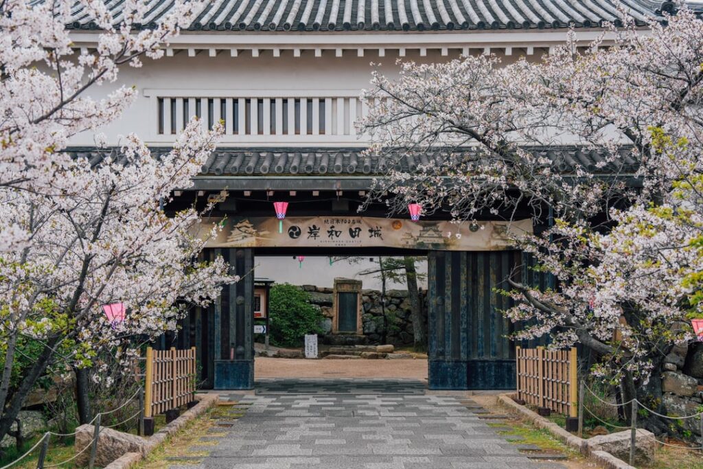 Kishiwada Castle during cherry blossom season