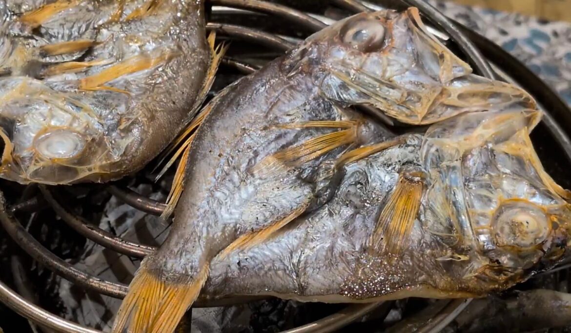 Traditional Japanese Dried Fish (Himono) grilled over charcoal