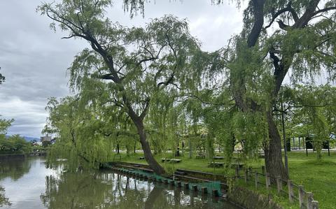 Tasty Tsuruoka City: Exploring the rural parts of Japan! Tasty Tsuruoka City: Exploring the rural parts of Japan!