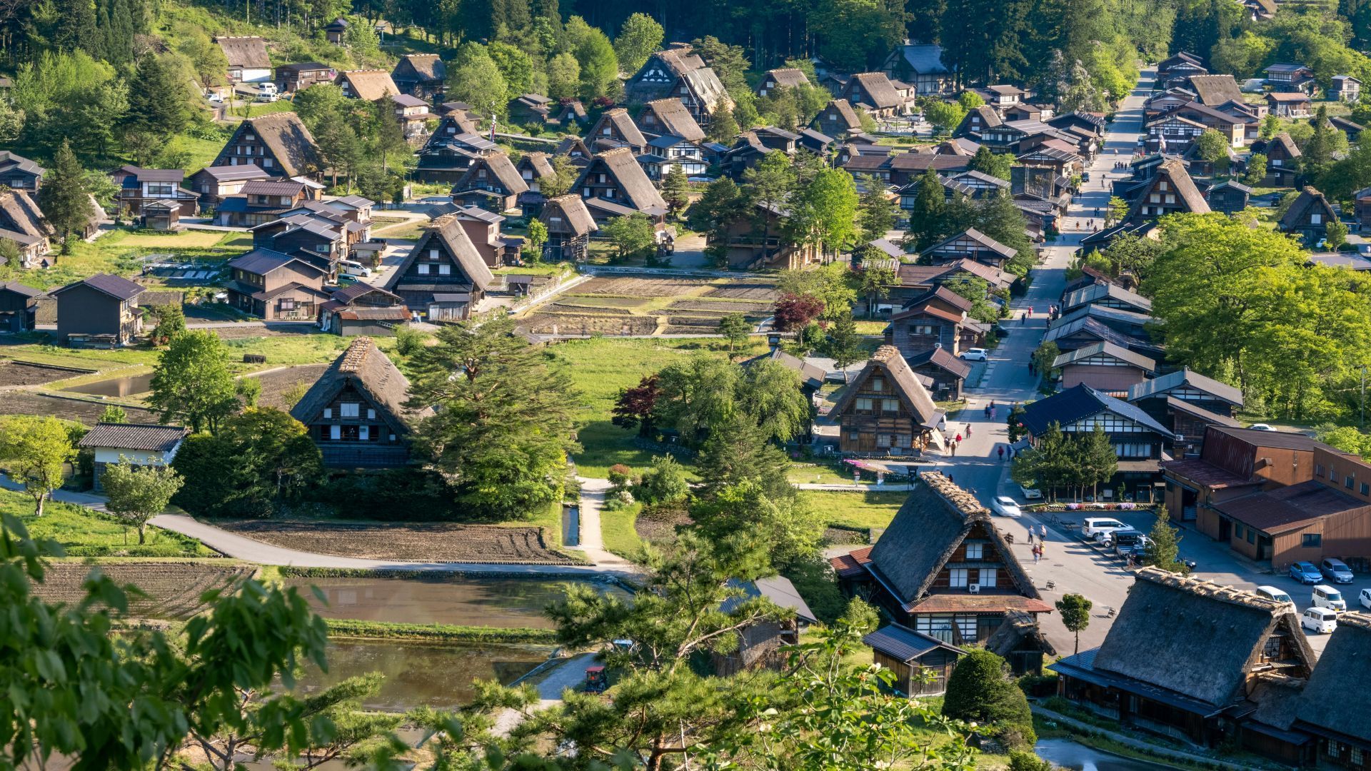 Japan visitor tax