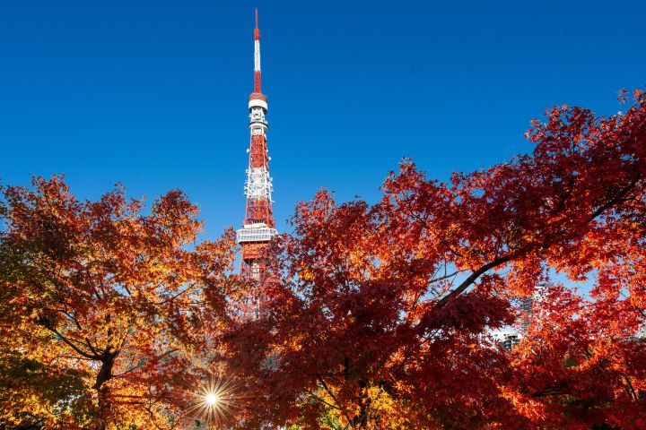 Real-Life Anime Locations in Japan You Need to Visit: The Ultimate Pilgrimage Guide TravelPirates