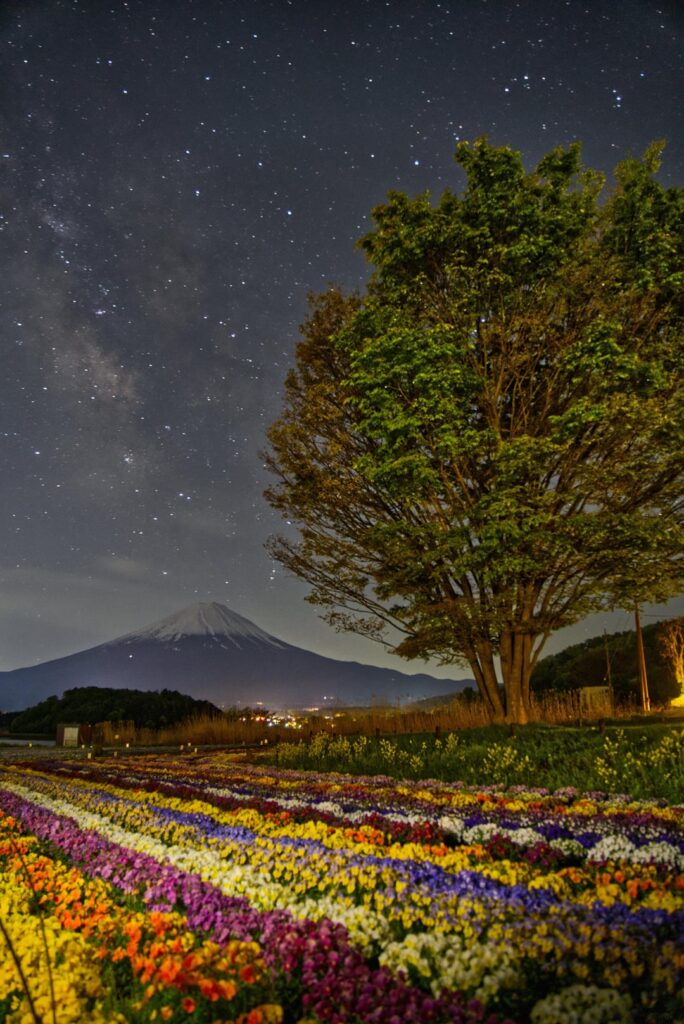 Fuji and the Milkyway