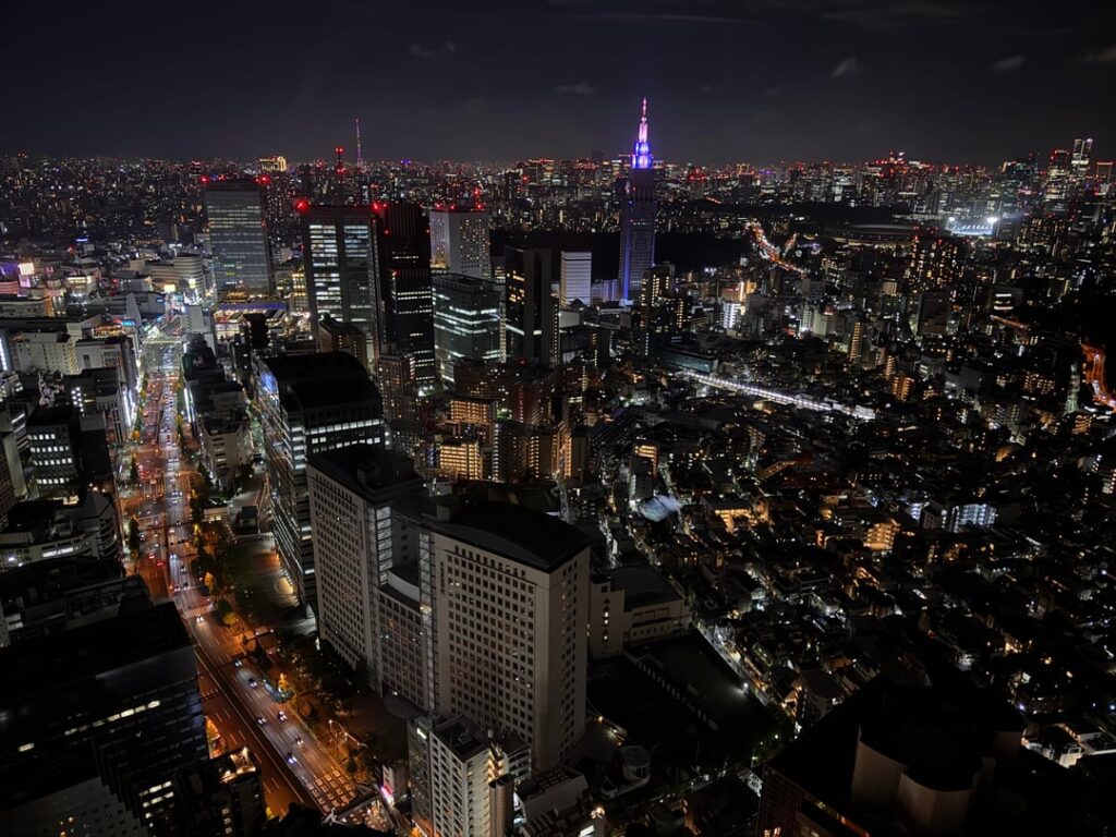 Park Hyatt Tokyo Shinjuku night and sunrise view