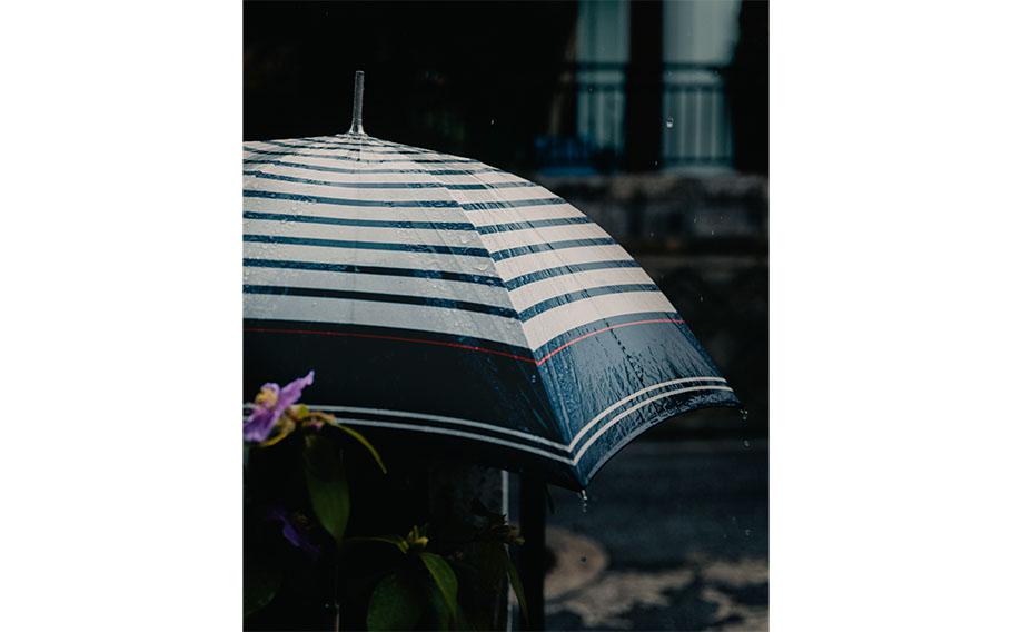an umbrella