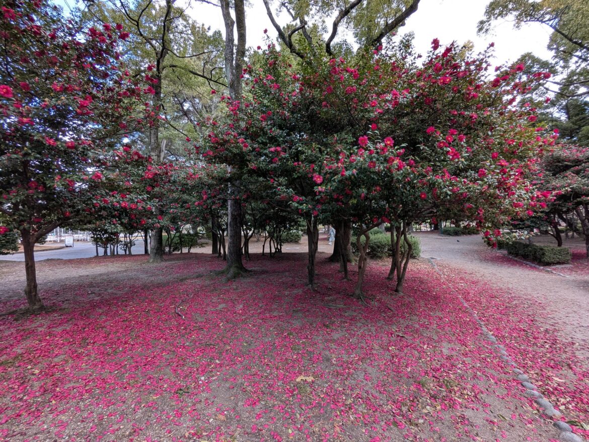 Nagoya