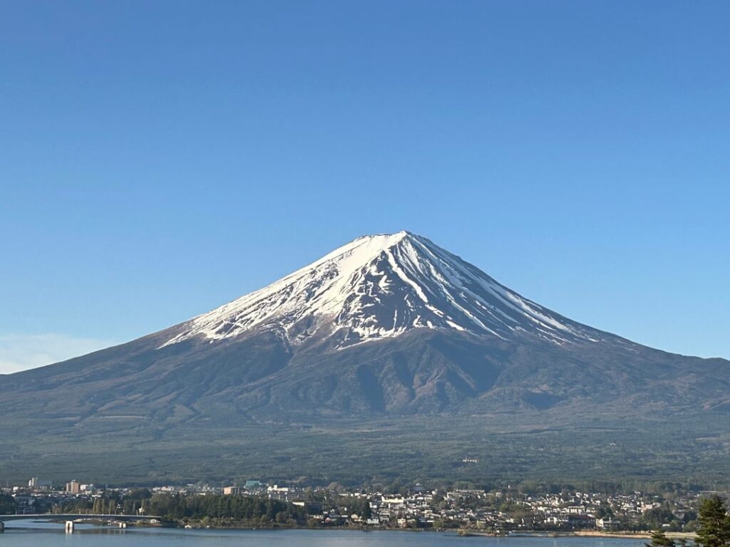 Mount Fuji and Flowers