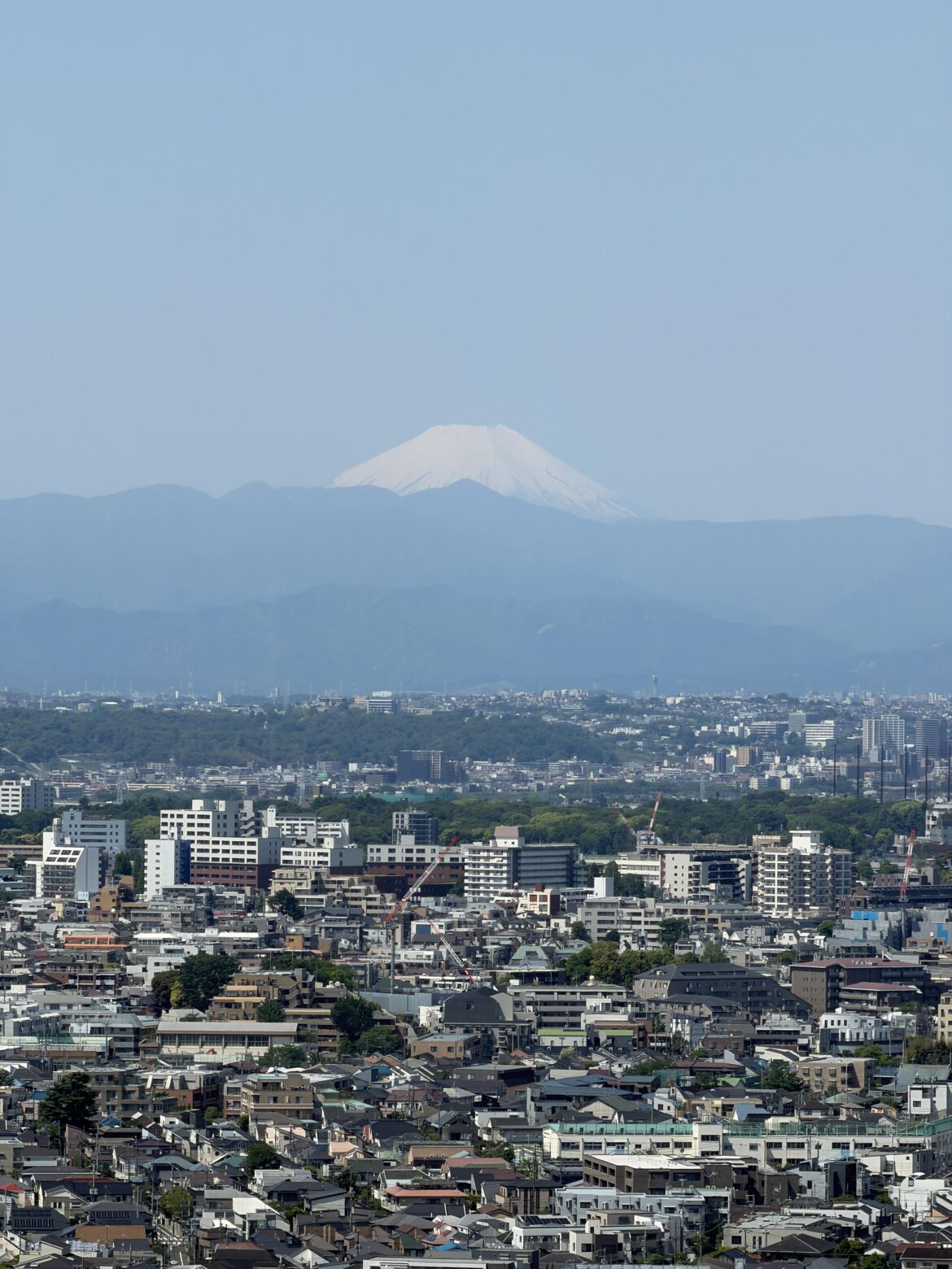 Fuji from carrot tower in sangenjaya