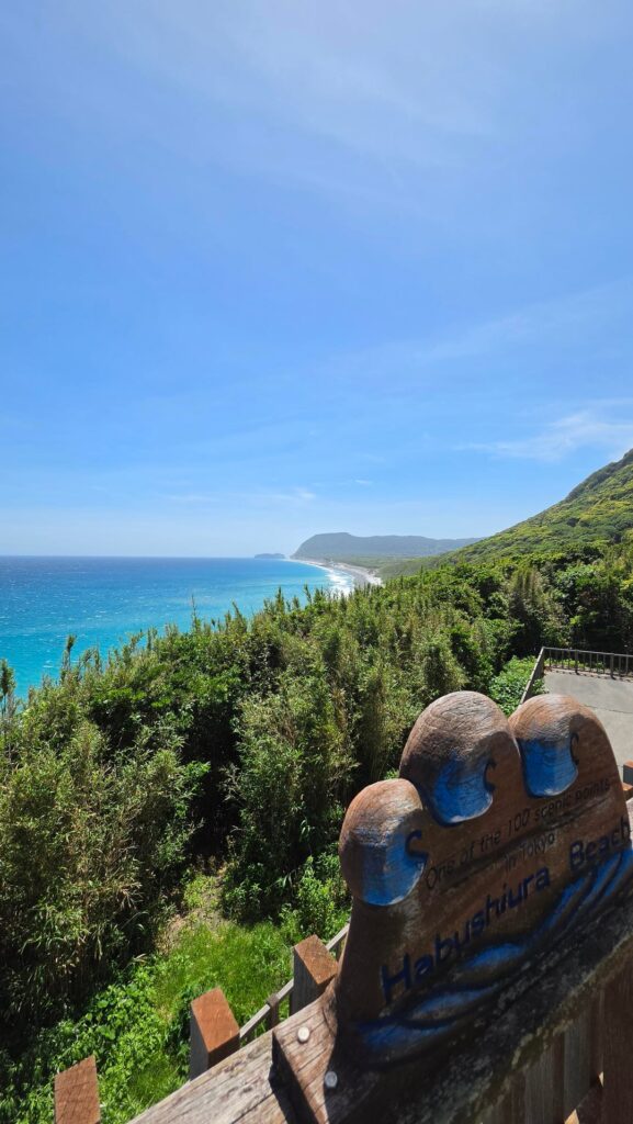 Tokyo, Niijima