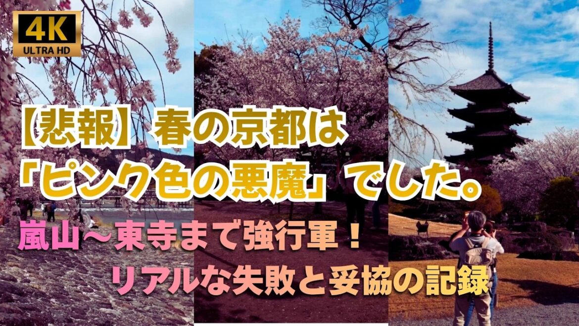【京都桜2026】10分の遅刻で絶望…嵐山〜平安神宮〜青蓮院〜知恩院〜円山公園〜八坂神社〜東寺を1日で巡る絶景と失敗の強行軍！