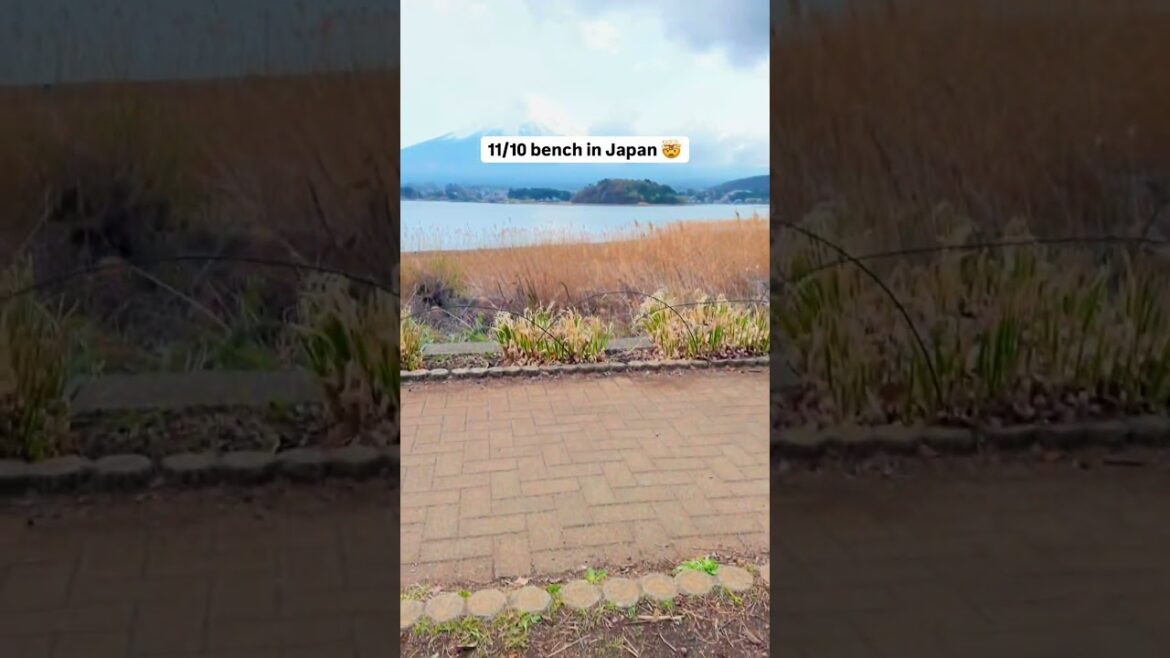 Best bench EVER š¤Æš#travelshorts #views #mtfuji #japantravel Best bench EVER š¤Æš#travelshorts #views #mtfuji #japantravel