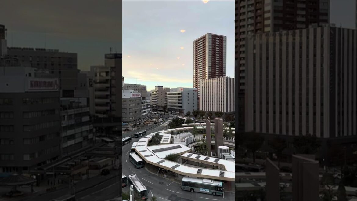 Gazing at Hamamatsu City, Japan, TourRadar from Chanel M. 🇯🇵