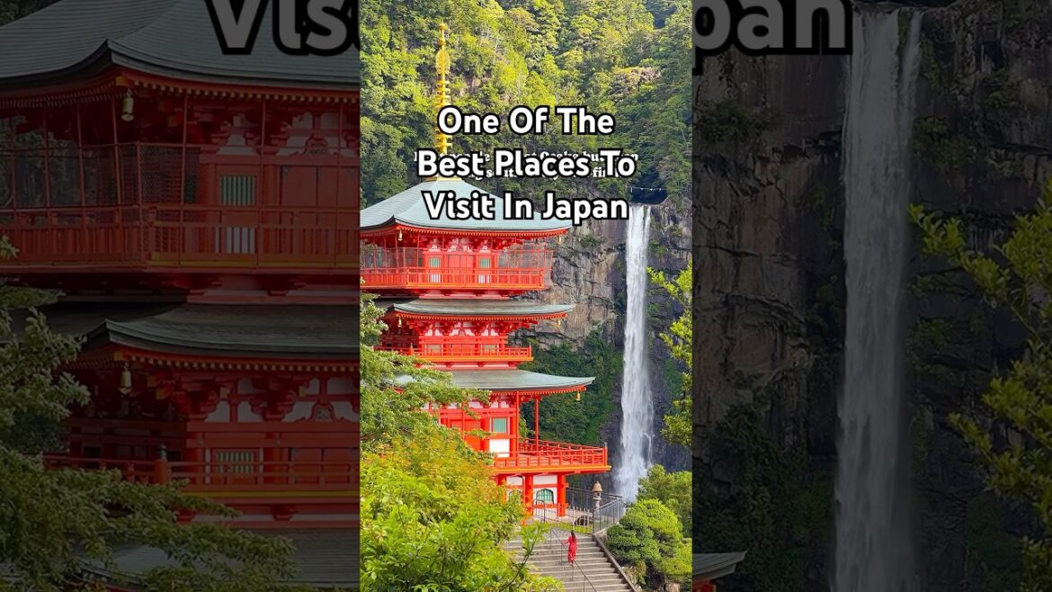 HOW IS THIS PLACE REAL?! One of the best places to visit in Japan 🇯🇵 #wakayama #japantravel