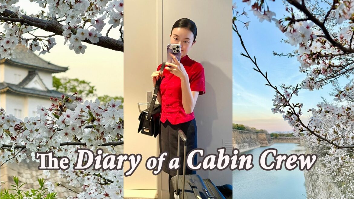 Flight Schedule of a Cabin Crew | Japan & Indonesia Flights ONLY | ๐ธ Cherry Blossom in Osaka Flight Schedule of a Cabin Crew | Japan & Indonesia Flights ONLY | ๐ธ Cherry Blossom in Osaka