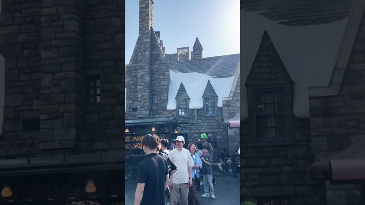 【OSAKA】Must-See Tourist Attractions – USJ_Wizzarding Henry Potter 【OSAKA】Must-See Tourist Attractions - USJ_Wizzarding Henry Potter