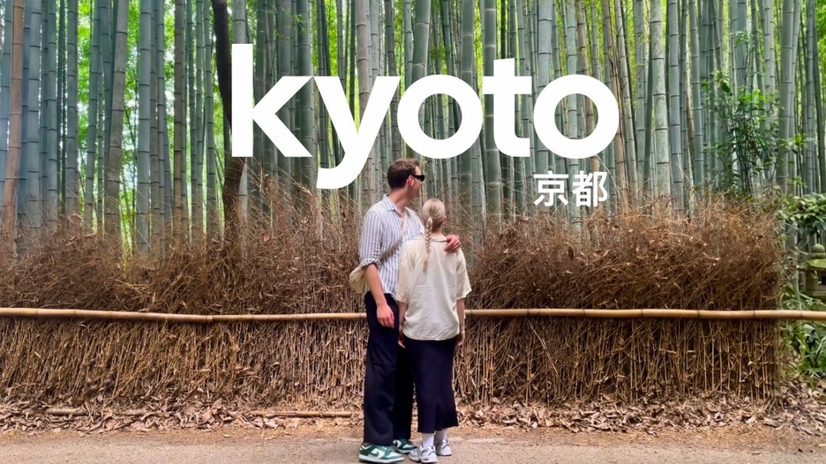 KYOTO TRAVEL GUIDE 2026 🇯🇵 Best Things To Do, Nara Day Trip & Food Guide KYOTO TRAVEL GUIDE 2026 🇯🇵 Best Things To Do, Nara Day Trip & Food Guide