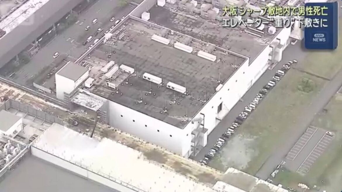 Man crushed to death by 10-tonne lift counterweight at Osaka demolition site Daily Mirror