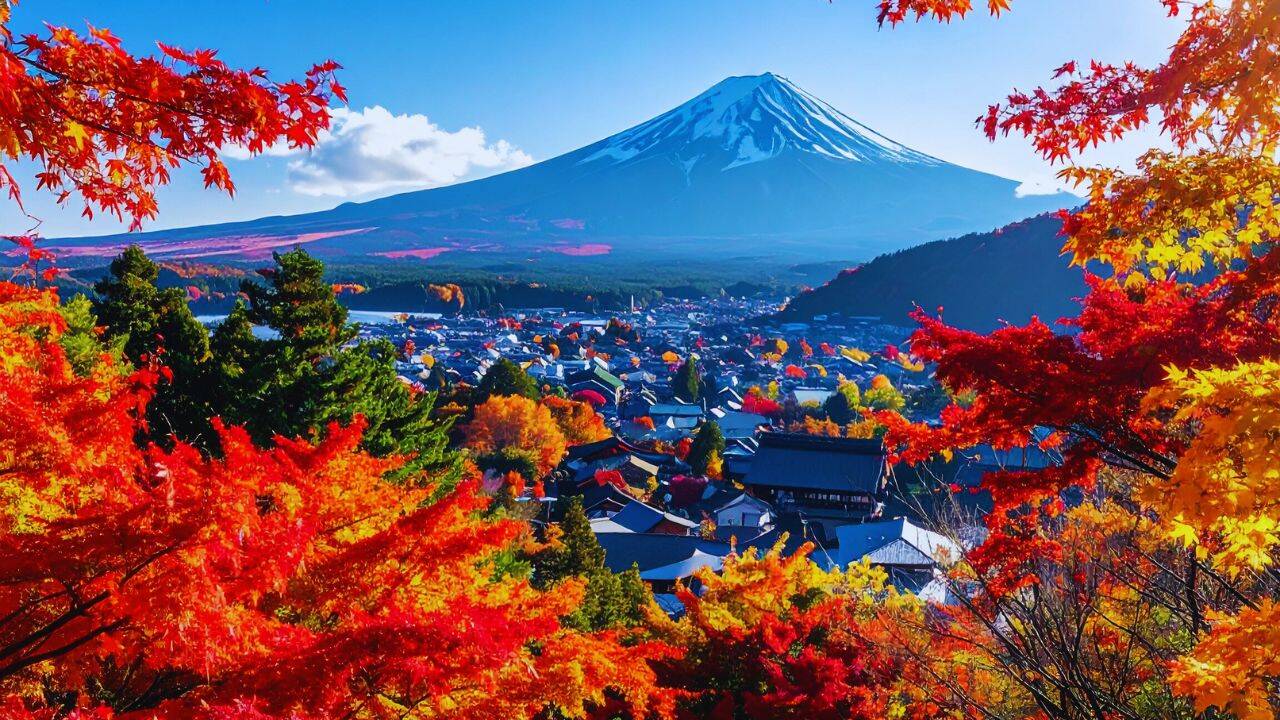 canva Japan