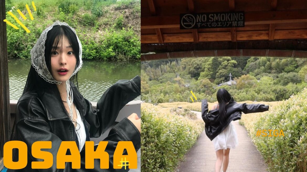 오사카에서 당일치기 가능한 소도시 🌼 – 작은 교토 시가현 여행 오사카에서 당일치기 가능한 소도시 🌼 - 작은 교토 시가현 여행