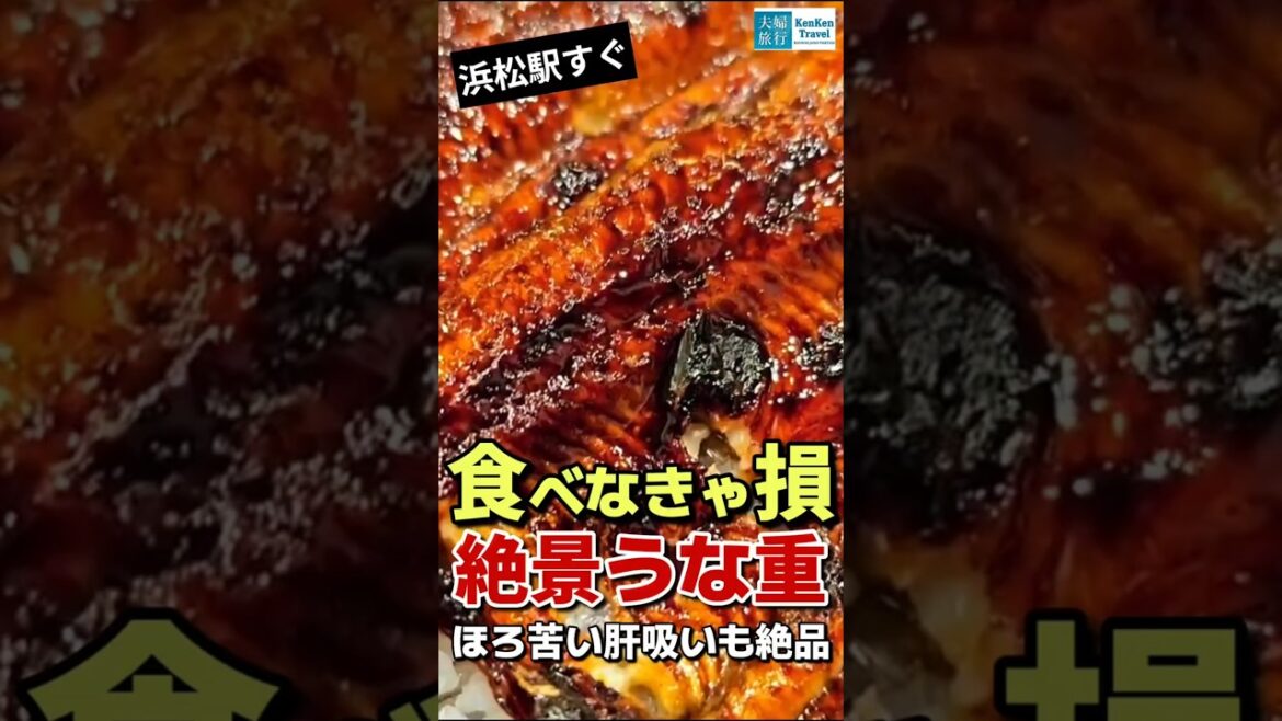 【静岡】丸浜!浜松で一度は絶対に食べるべき「うな重の松」が美味しすぎて早くかき込まないと間に合わない! 【静岡】丸浜!浜松で一度は絶対に食べるべき「うな重の松」が美味しすぎて早くかき込まないと間に合わない!