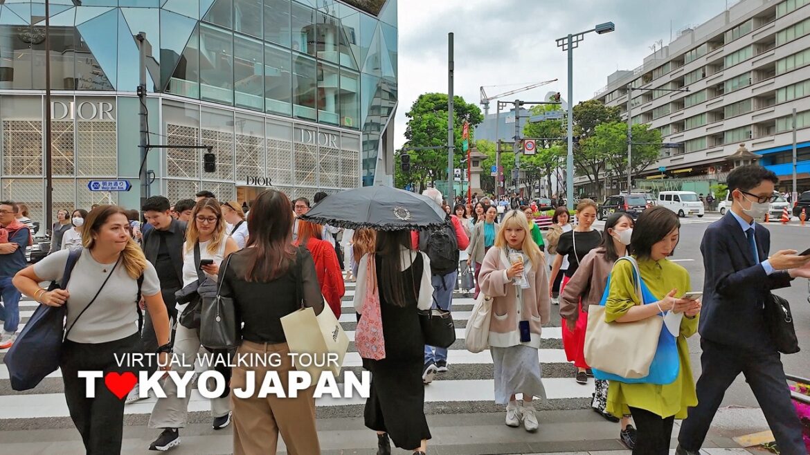 TOKYO CITY TRAVEL – Omotesando, Cat Street, Harajuku, Shibuya, Shinjuku and Shinjuku Station, Japan TOKYO CITY TRAVEL - Omotesando, Cat Street, Harajuku, Shibuya, Shinjuku and Shinjuku Station, Japan