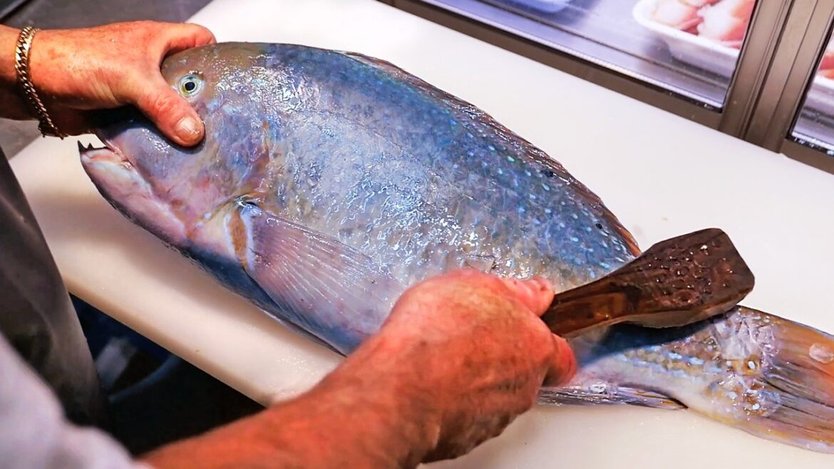 Japanese Street Food - GIANT TUSKFISH Sashimi Okinawa Seafood Japan
