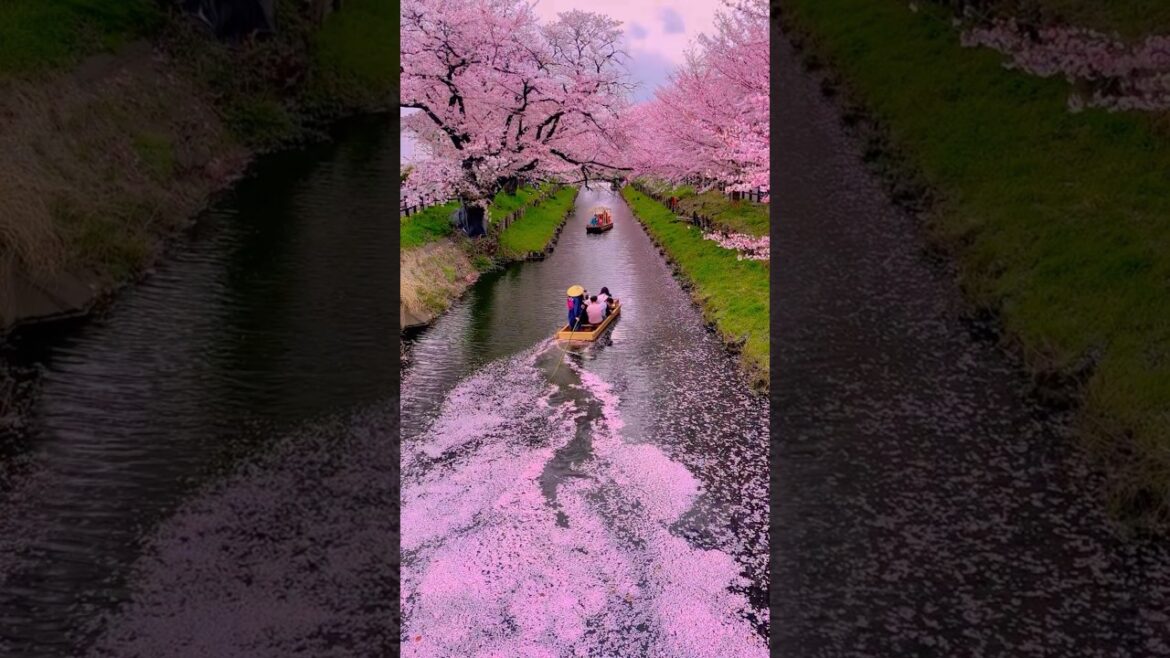 Dream Destinations That Look Too Beautiful to Be Real on Earth 🌍 🌸✨ #shorts #viral