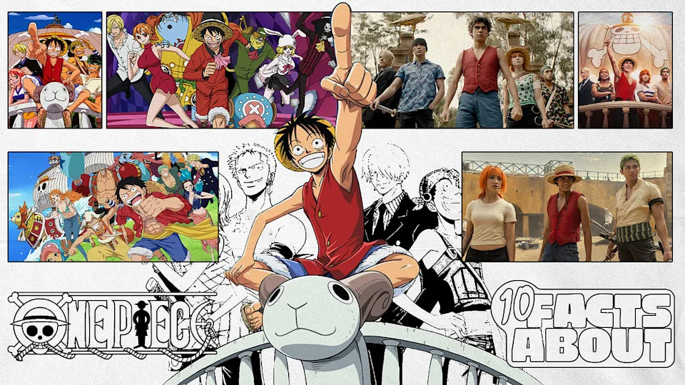 <span>10 Facts About 'One Piece' For Newcomers</span>