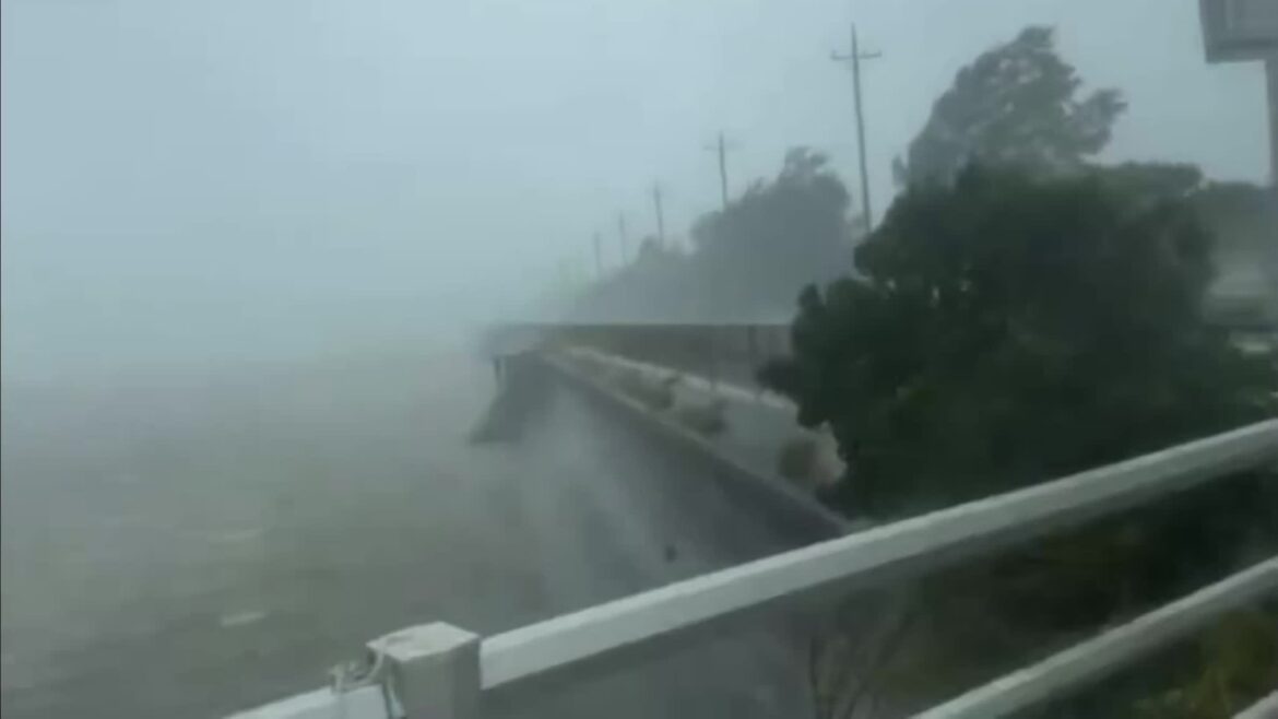 Typhoon Jangmi hits Okinawa: Trees down, power out, 160+ flights canceled