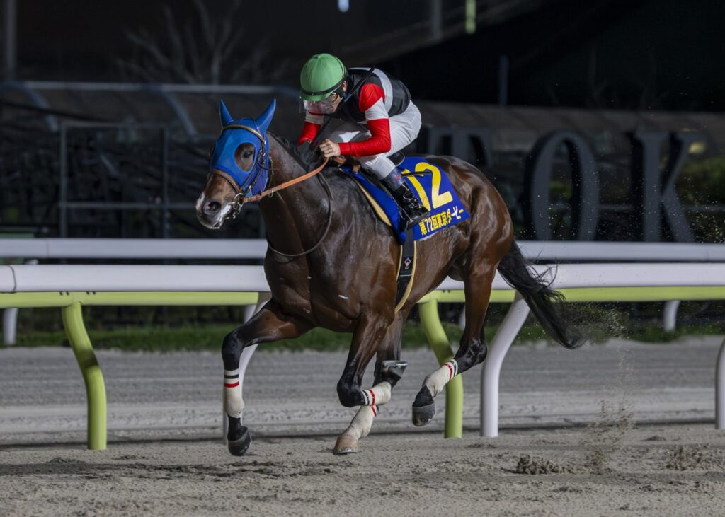 Gun Runner’s Finger Bosses Them From the Front In Tokyo Derby Gun Runner's Finger Bosses Them From the Front In Tokyo Derby