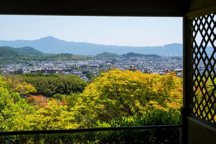 Missing American in Japan ‘may be emotionally distressed’: report The Independent US