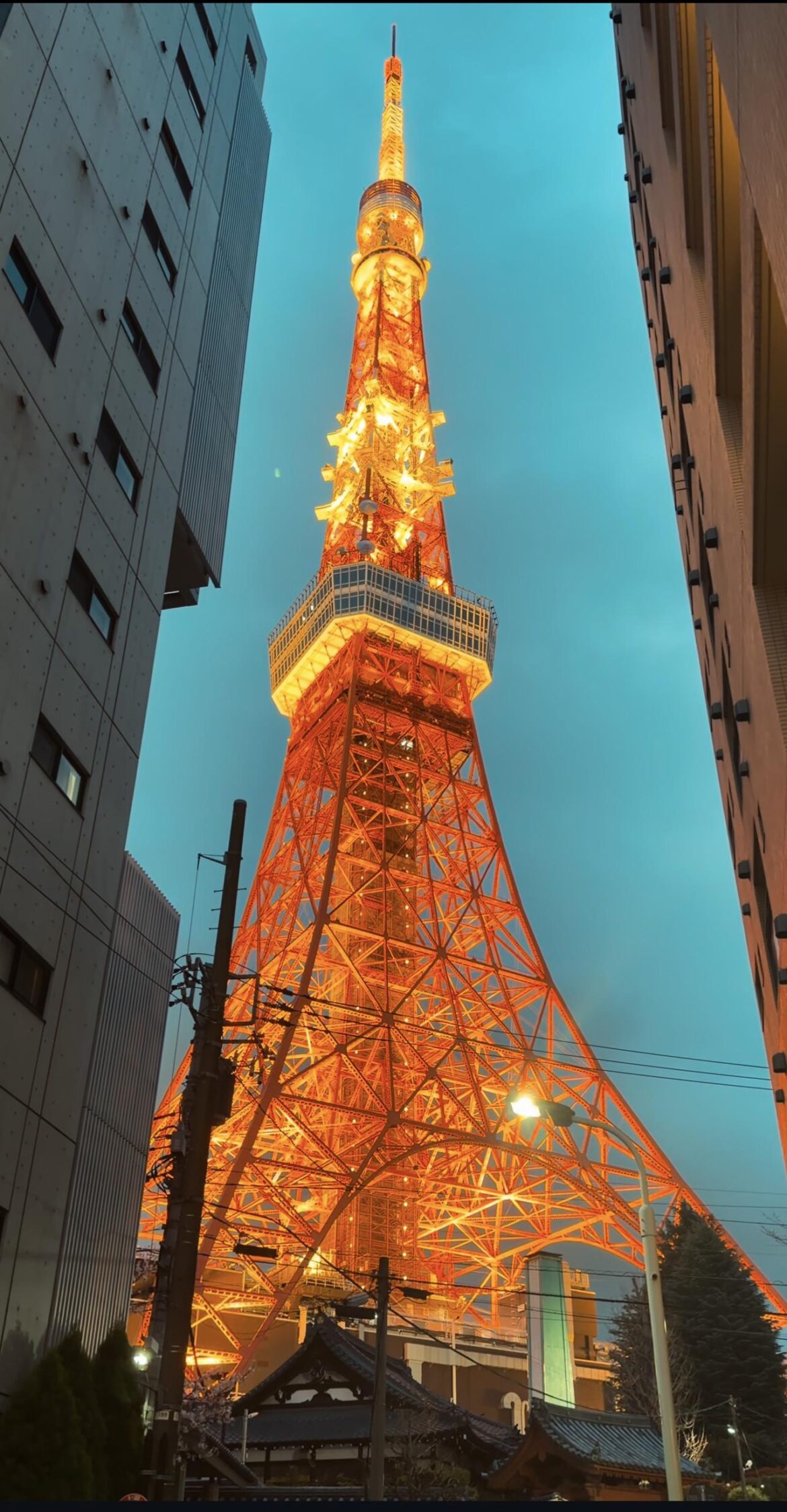 Trying to get the best angles of Tokyo Tower