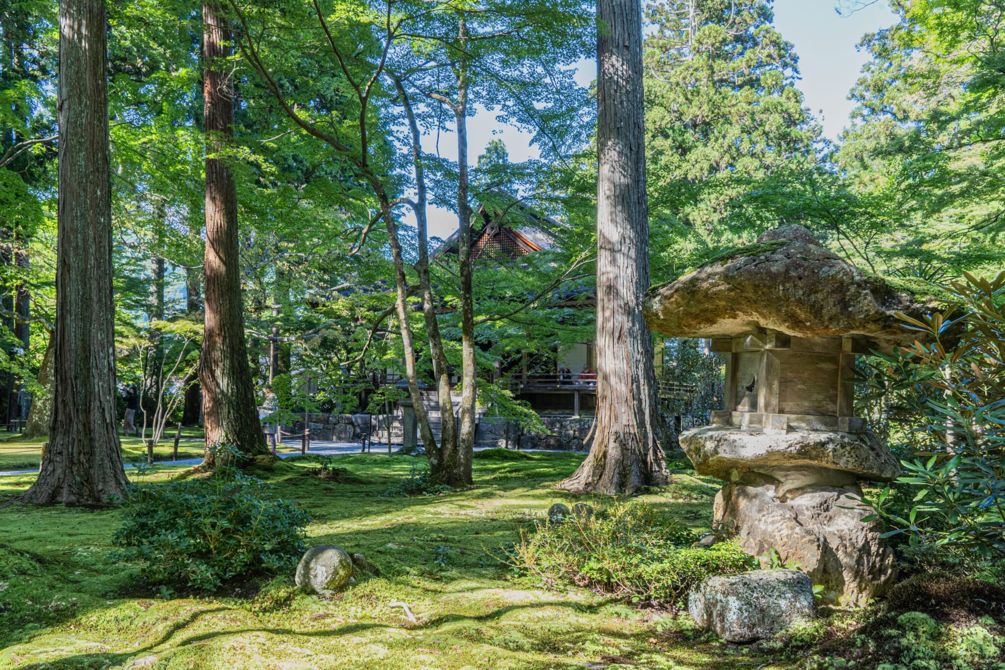 Sanzenin Temple moss garden japan