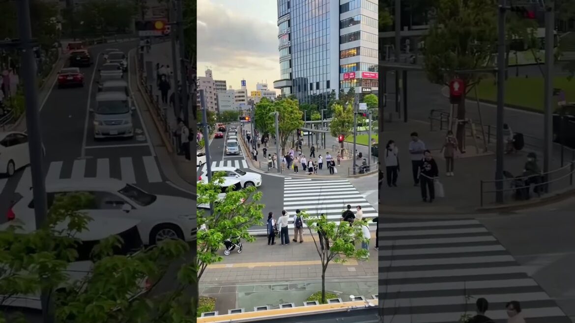Tokyo’s Busiest Crossing in 4K 🌆 | Shibuya Scramble Crossing Walking Tour 🇯🇵 #shorts #travel #city Tokyo's Busiest Crossing in 4K 🌆 | Shibuya Scramble Crossing Walking Tour 🇯🇵 #shorts #travel #city