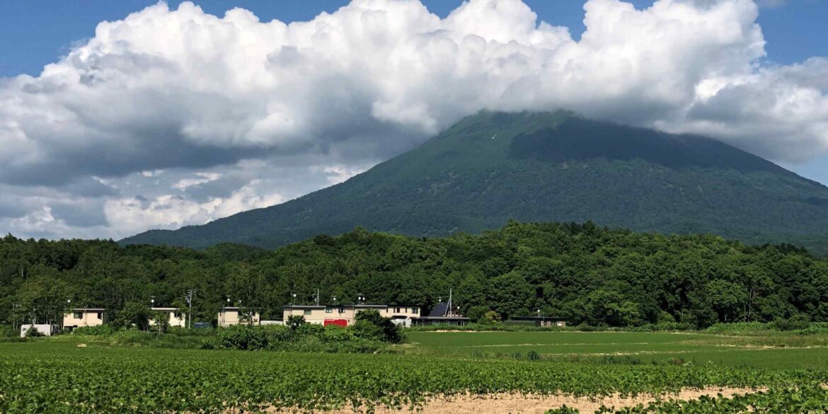 Japan’s Niseko eyes ‘Ghost of Yotei’ video game to attract summer tourists Japan's Niseko eyes 'Ghost of Yotei' video game to attract summer tourists