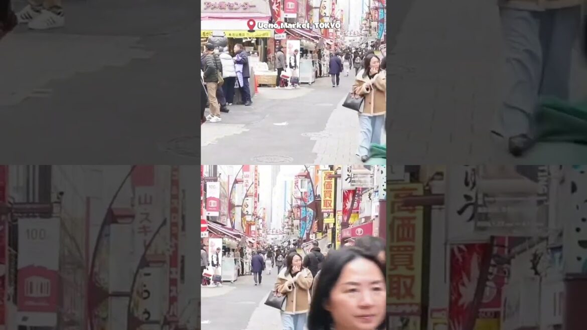 Tokyo Street Food POV 🍥 Ueno Market #ueno #streetfood #tokyo #travelasia #walkingpov #shorts