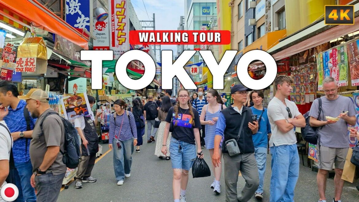Tokyo, JAPAN – Ueno Food and Shopping District 4K Walking Tour Tokyo, JAPAN - Ueno Food and Shopping District 4K Walking Tour