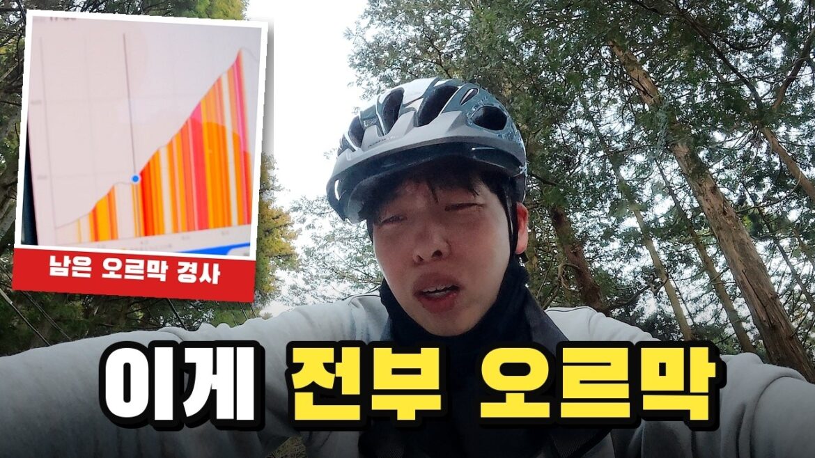 일본 하코네 산 자전거로 올라가다 조난당할 뻔 했습니다 (도쿄 – 미야자키 2일차) 일본 하코네 산 자전거로 올라가다 조난당할 뻔 했습니다 (도쿄 - 미야자키 2일차)
