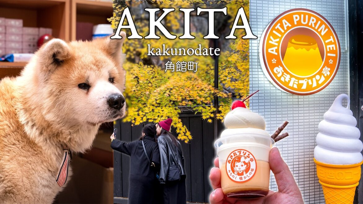 Akita Day Trip: Fall Leaves, Samurai Town, & Best Pudding Ever