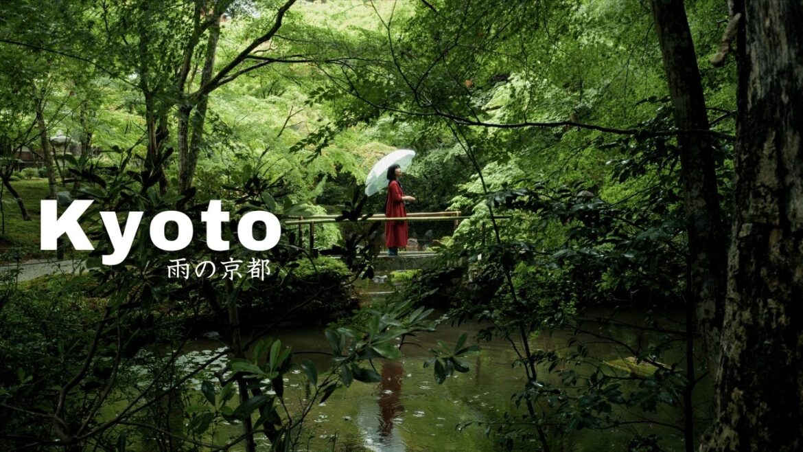 Kyoto in the rain 🌧️ temples, mossy gardens, hidden forest & cozy tea houses
