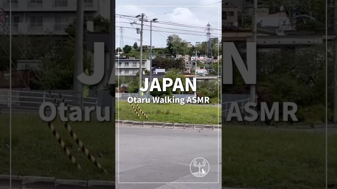 Japan Walking Tour in Otaru, Hokkaido | Walking Down a Hill #shorts