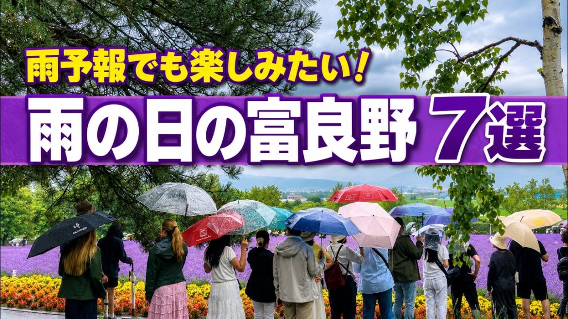 雨の日の富良野観光7選|雨予報でも楽しみたい富良野旅行 #富良野 #北海道 #hokkaido #furano #japantravel 雨の日の富良野観光7選|雨予報でも楽しみたい富良野旅行 #富良野 #北海道 #hokkaido #furano #japantravel